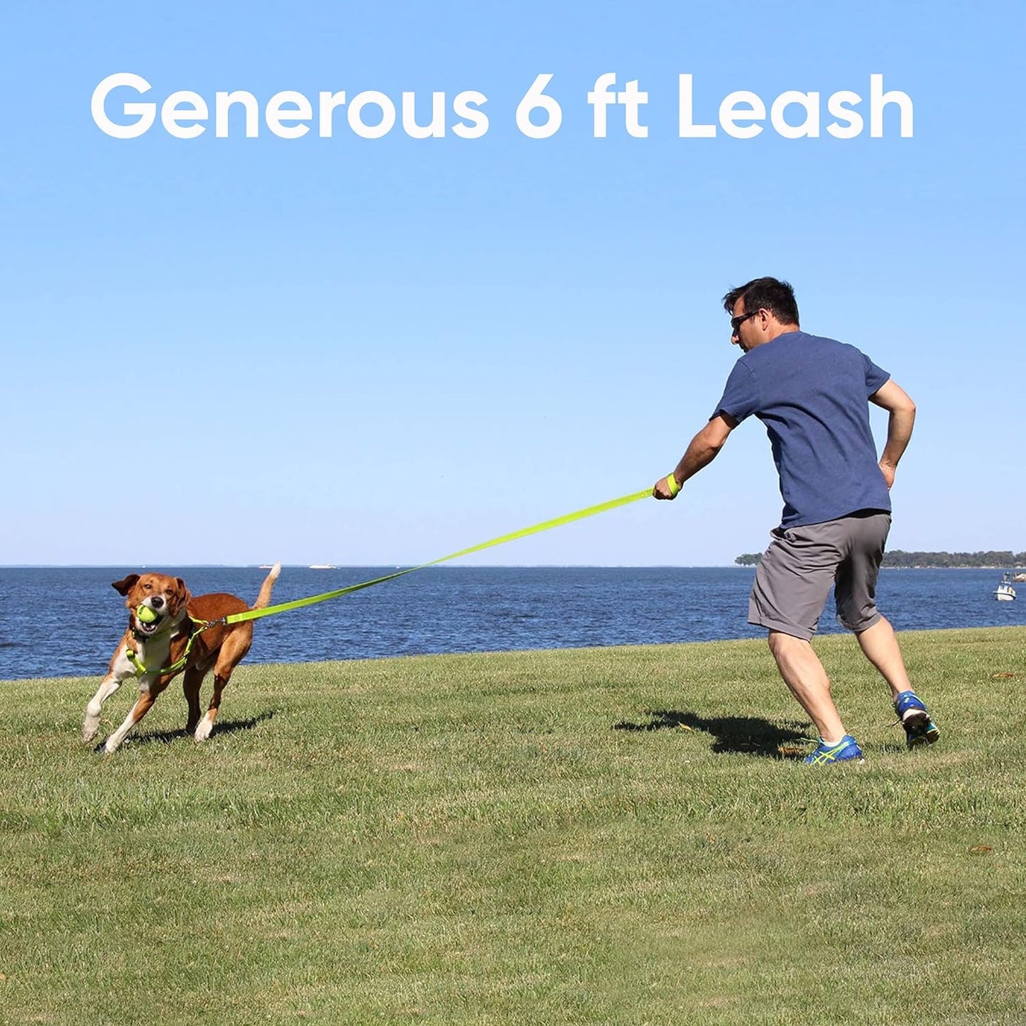 Pet / Puppy 6 - Feet Reflective Dog Leash Medium / Large 1 Inch Orange Matching Collar and Harness Sold Separately.