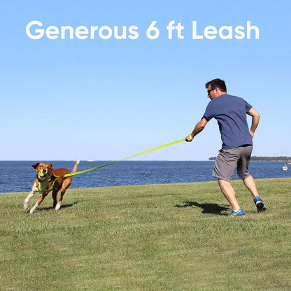 Pet / Puppy 6 - Feet Reflective Dog Leash Medium / Large 1 Inch Orange Matching Collar and Harness Sold Separately.